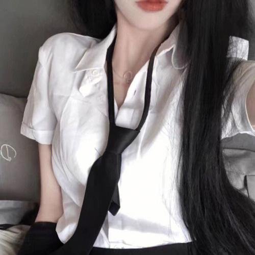 秋田犬蓬夫