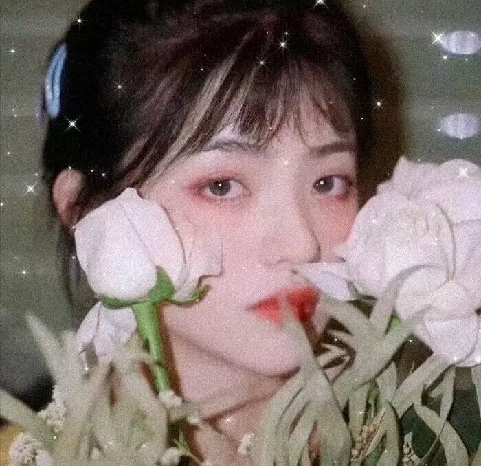 大虎鲨